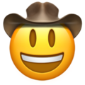 cowboy-hat-face